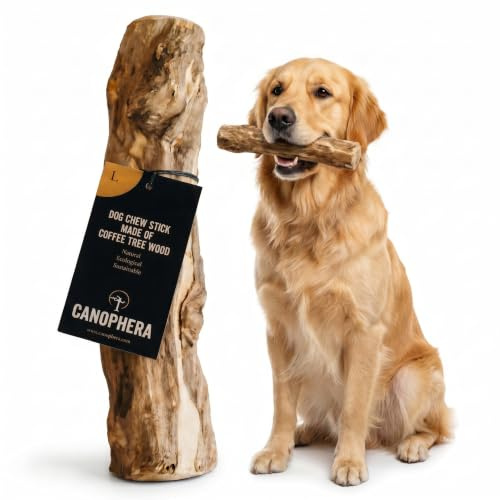 Canophera Coffee Wood Dog chew Sticks for Regular chewers - Size Large