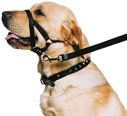 Ancol Hunde-Trainingshalfter, Halsband - Medium, Schwarz - Zugentlastung und Kopfdrehung bei Leinenzug - Nylon - für Erwachsene Hunde