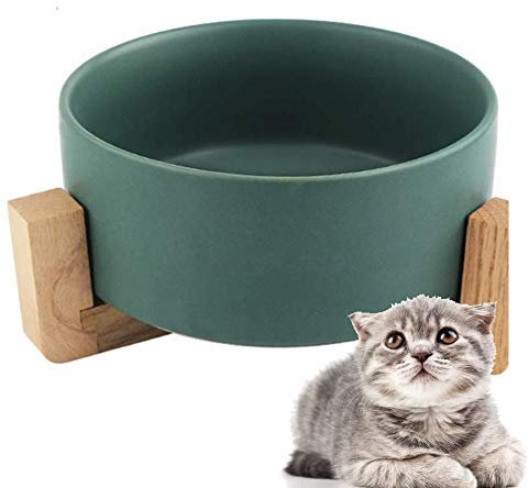 PJDDP Hund Katze Schüssel, Keramik Katzennapf Mit Anti-Rutsch-Holzständern, Haustier-Zufuhr, Wasser-Schüssel-Teller, Stress Free, Rückstau Prävention, Spülmaschine Und Mikrowelle,Grün