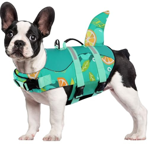 CITÉTOILE Simväst hund haj, flytväst för små stora hundar, hund flytväst med hajfena, haj-hundliv jacka med bra flytkraft och reflekterande, lätt och säker för vattensport, L