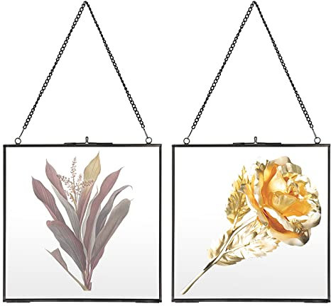 SUMNACON 2PCS Hängend Bilderrahme aus Metall und Glas Fotorahmen für Familie Hochzeit Foto Geometrische Ornament Pflanze Probe Clip Für gepresste Blumen Fotos 20cm (Quadrat, Schwarz)