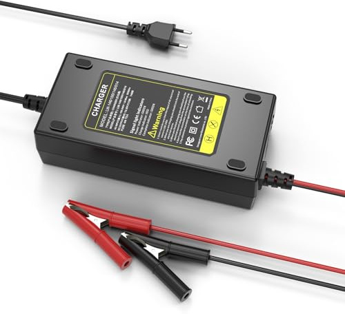 ASUNCELL 14,6 V/10 A LiFePO4 Caricabatteria da auto, caricabatteria da auto da 6 V e 12 V piombo fino a 120 Ah e 12,8 V litio, batterie al litio-ferro-fosfato