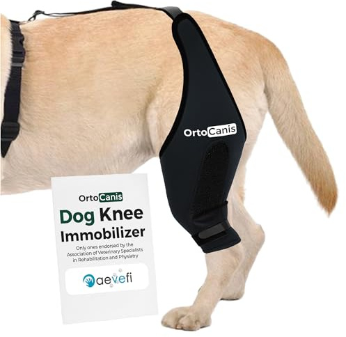 Ortocanis - Kniebandage mit Leckschutz Hund - Knieschiene Linke Hinterbein - Kreuzbandriss, Kniescheibenluxation und nach Operationen - Speziellem Neopren - Größe: MINI de 14 a 16 cm