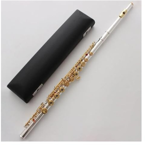 Querflöte Instrument Versilberte Flöte, Vergoldete Lippenplatte, Goldene Klappen, 17 Löcher, Offenes Loch, C-Ton-Flöten Mit Koffer