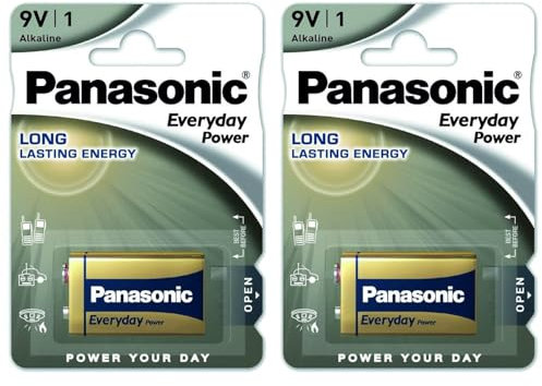 PANASONIC - Lote de 2 ampollas de 1 pila alcalina Everyday Power Silver Cube 6LF22-9V