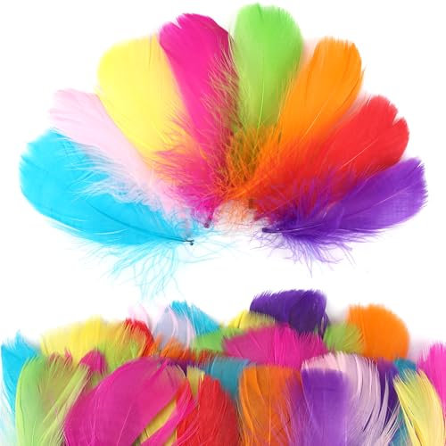 SUNRIZ Federn Zum Basteln, 600 Stück Bunte Federn, Natürliche Deko Bastelfedern für DIY Ohrring, Traumfänger,Handwerkskunst, Flaumfedern für Hochzeit, Ostern, Weihnachten