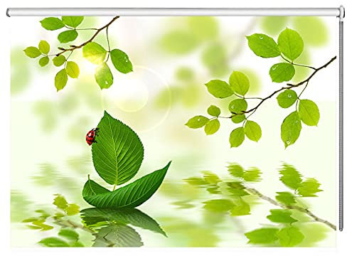 Thermo-Verdunkelungsrollo für Küche / Bad, 140 cm breit x 200 cm lang, inkl. Befestigungsmaterial, Grün