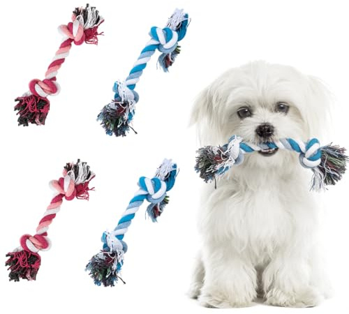 4 x jouet chien, corde chien, jouet à mâcher pour chiots, jouet en corde tressée pour chiens, adapté aux petites races.