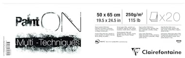 Clairefontaine 975813C PaintOn mapp (med 20 ark, 250 g, 100% rent cellulosapapper med lätt kornighet, 50 x 65 cm, perfekt för multitekniker) extra vit