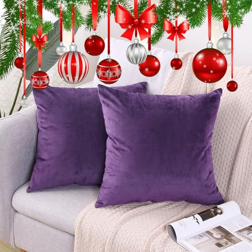 CXTAI 2 Fundas de Cojín (Sin Relleno) Sofa Decorativas de Terciopelo Cuadradas 40 x 40 cm Morado