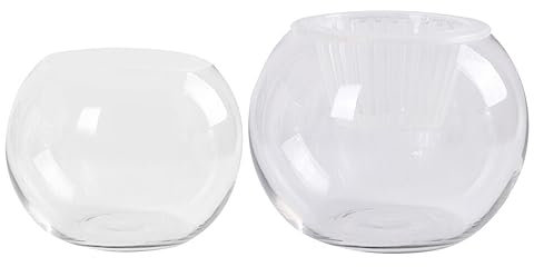HOLIDYOYO Blumentopf 30 cm Glasvase Einzigartiges Kreatives Design Für Die Dekoration Von Zuhause Büro Und Hotel