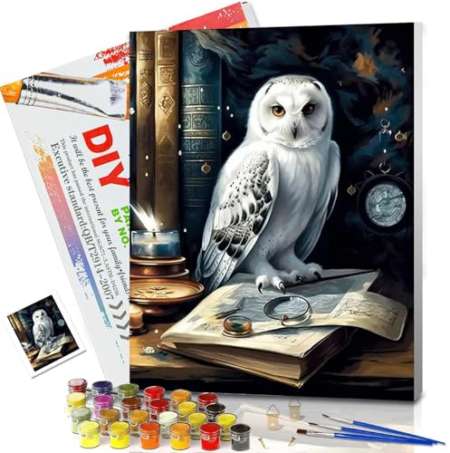 JATOK Paint by Numbers for Adults, Owl, 30 x 40 cm, Framed | coloured pre-printed canvas, acrylic painting kit, beginner DIY craft, framed wall décor, owl design, 30 x 40 cm canvas