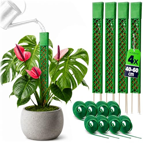KADAX 4er Set Moosstäbe 60 cm mit Gießhilfe, Rankhilfen für Kletterpflanzen, Pflanzstäbe zum Befüllen mit Moos, Rankstäbe mit Klettband, Pflanzenstützen für Monstera