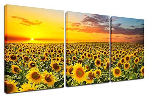 Canvas Wall Art Sunflower Pictures - 3 Pieces Flower Landscape Paintings Set for Home Living Room Kitchen Decor Bedroom Office Modern Artwork Sunset Wall Art Nature Floral Poster Print 12x16 inch