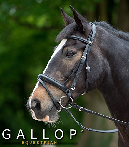 Gallop Comfort Bridle and Rubber Reins (Cob, Black)