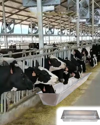 Futtertrog für Vieh, Edelstahl, Futtertrog, Nahrungsergänzungswasser, robuste Schweinefutterstation für Pferde, Schafe, Pferde, Geflügel, Ferkel