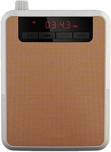 SSDDLZEQ VerstärkerTragbar mit Radio-Clip an der TailleModerner VerstärkerLautsprecherSpielbarLeichter VerstärkerLautsprecherKlarer Klang(B)