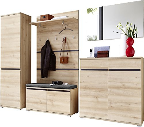 Flex Disc - Core-Trainer für Mobilität, Stabilität, Gewicht, Kraft - Premium Qualität Bauchmuskel Roller - Core Slider - Gleitscheibe