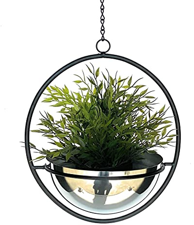 DanDiBo Blumenampel Innen Metall Wand Hängepflanzen 53 cm 96087 M mit Topf Silber Pflanzenhänger Blumenhänger Topfhänger Blumen Blumentopfhänger Hängetopf