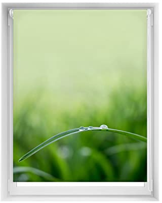 Blindecor Easy Verdunkelungsrollo, ohne Bohren, Bedruckt, Digitaldruck, 120 x 150 cm (B x H), Stoffgröße 117 x 145 cm, Thermo-Verdunkelungsrollo