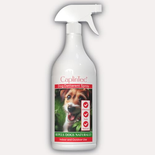 EWE STOP by CaplinTec Natural Dog Deterrent Spray - Natural, Safe, and Effective Solution for Indoor and Outdoor Dog Repellent Use with Long-lasting Formula