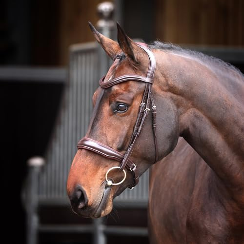 Shires Lusso Elite Padded Cavesson Bridle Full Black
