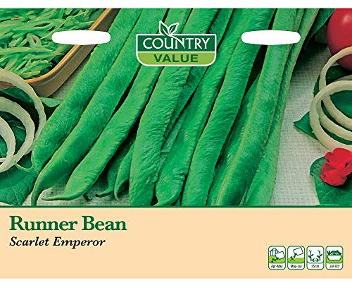 Country Value RUNNER BEAN Scarlet Emperor Seeds
