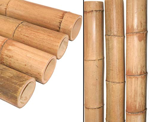 Bambusrohr 200cm, Durchmesser 9,8-12cm, gelbbraun hitzebehandelt | 1 Stück, XL Bambusstab, gedämpft, 2m lang