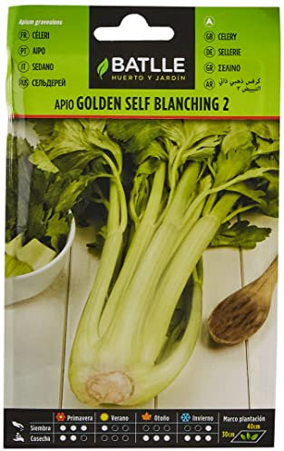 Graines de légumes Batlle - céleri doré Self Blanching 2 (10000 graines), Jaunes