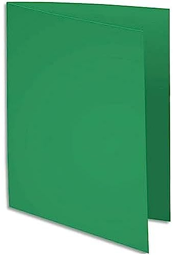 CLAIREFONTAINE 800004E Box 100 Unterordner, grün