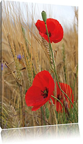 Pixxprint Mohnblumen im Getreidefeld, Größe: 60x40cm, Leinwandbild, fertig gespannt, Wandbild, Dekoration, Kunstdruck, kein Poster