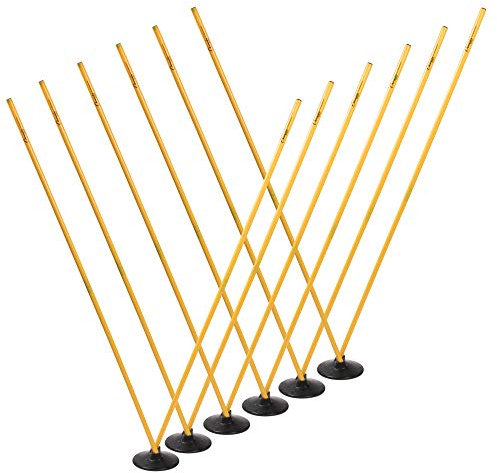 Champion Sports Pro Agility Pole Set