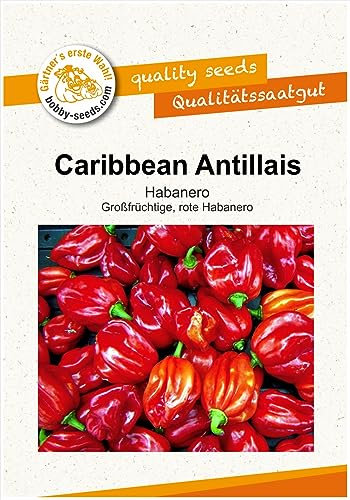 Paprikasamen Caribbean Antillais Chili Peperoni Portion