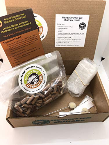 Shiitake Plug Spawn Starter Kit - Cultiva Tus Propios Hongos