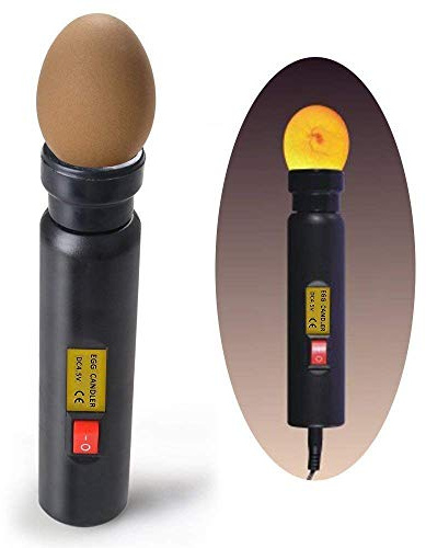 ZJchao Ei-Inkubator – 50 Eier Kapazität, Automatischer Eierwenden, elektrisch betrieben für Hühnchen, Tauben und Vögel