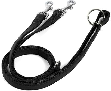 Laisse pour Chien,Laisse Marche Chien,2 M/6,5 Pieds,Double Extrémité,Taille,Epaule,Bandoulière pour Petit,Moyen et Grand Chien,Marche,Jogging,Course a Pied