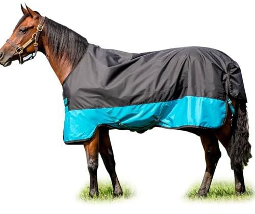 Horseware Mio T/O Med 200g Turnout Decke wasserdicht Black/Turq & Black, Größe:6'0