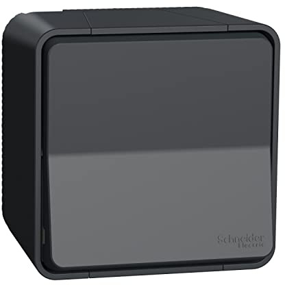 Schneider Electric - Mureva Styl - Va et vient - saillie - IP55 - IK08 - connexion auto - gris - MUR35021