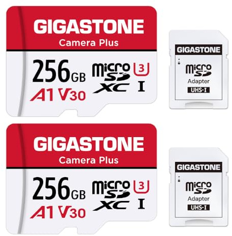 GIGASTONE Micro SD 256 GB, Camera Plus, Set da 2, A1 U1 C10 UHS-1, Per GoPro Fotocamera Videocamera, Velocità Fino a 100/60 MB/s, con Adattatore Scheda SD