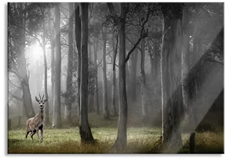 Pixxprint Glasbild, Wandbild aus Echtglas, Hirsch im Wald, 100x70 cm, inkl. Aufhängung und Abstandshalter