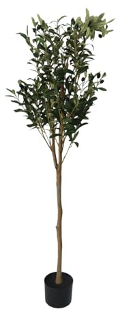 Kelawoly Planta en Maceta de Olivo Artificial, Decoración Interior Realista con Material ABS PU para Sala de Estar, Piscina, Fiesta, Playa, Patio (180cm)
