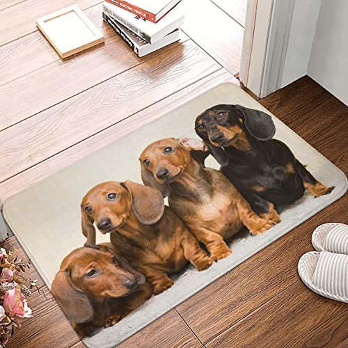 YACANNA Fußmatte für Innen Außen Waschbare Dackel Hund Fußmatte Badezimmermatte Küche Zuhause Wohnzimmer Lustiger Pupy Decor Bodenteppich Bodenmatte Matte 50x80cm