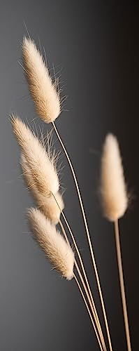 levandeo Glasbild 30x80cm Schwarz Pampas Wanddeko Pampasgras Wandbild Nature Gräser Boho Deko Wandobjekt