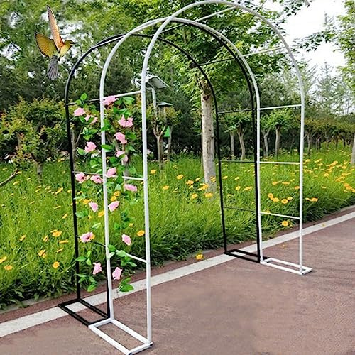 Arche de jardin en métal blanc et noir treillage pour plantes grimpantes, roses, décoration de mariage, cadre de soutien de jardin élégant, parfait pour tonnelle et arcades