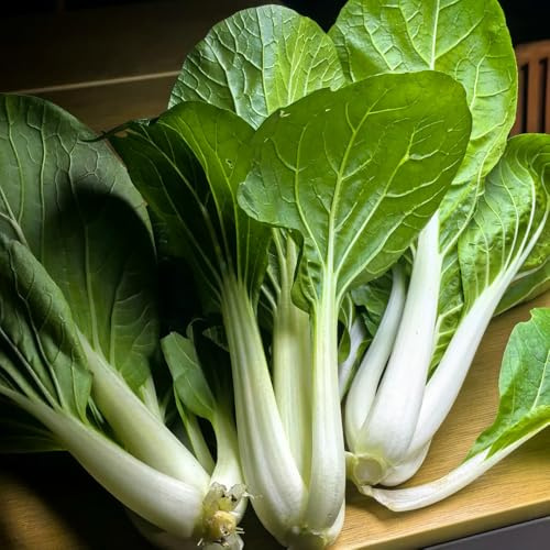 Semillas de pak choi, col con mostaza china orgánico de balcón decoraciones jardín exteriores jardín del balcón decoración rara 350pcs
