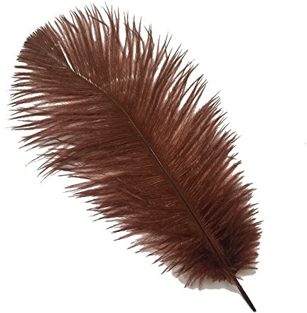 Sowder 20pcs Natural 10-12inch (25-30cm) Straußenfedern Feder für Hochzeit Mittelstücke Home Decoration(braun)