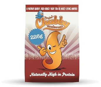 Chubby Mealworms Refill Bag (226g), Dried Mealworms For Wild Birds, Protein Rich Dried Meal Worm High Energy for Wild Birds Only, Reptiles, Gecko