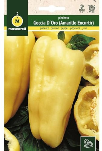 Mascarell Semillas, PIMIENTO, Semillas Huerto, PIMIENTO GOCCIA D´ORO - AMARILLO (ENCURTIDO), Crea tu Propio Huerto Urbano y Cultivo en Casa, Plantas Hortícolas, 1 Gramos