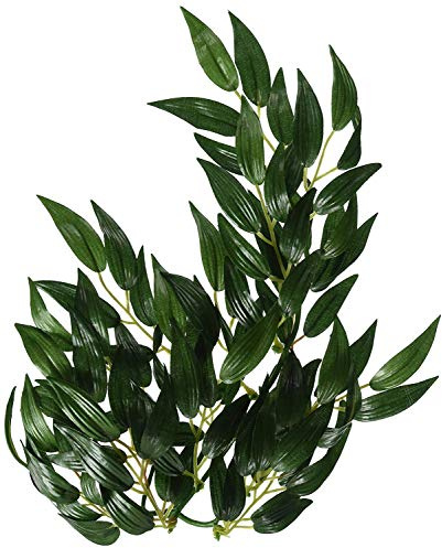 Exo Terra Planta Ruscus Small 35 Cm Pt3031