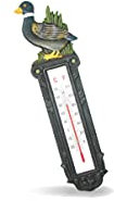 Piantallegra - Termometro in ghisa con anatra colorata per esterni ed interni lunghezza 28 cm
